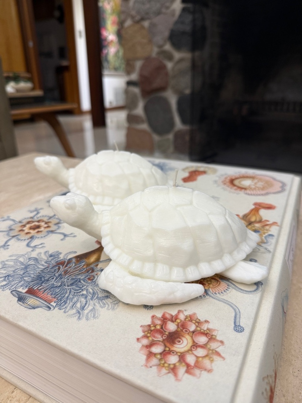 Two white pottery barn turtle decorative candles